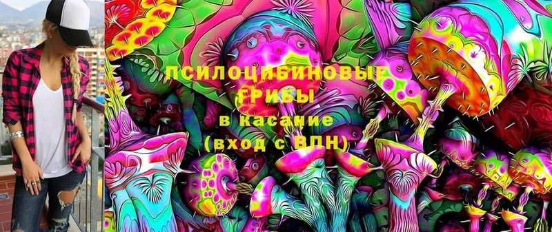 площадка телеграм  Буинск  Псилоцибиновые грибы Cubensis 